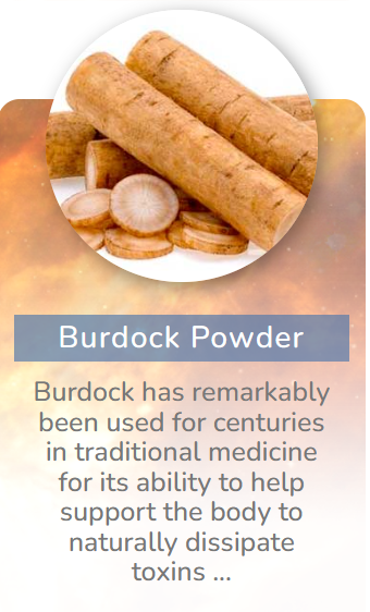 burdock powder