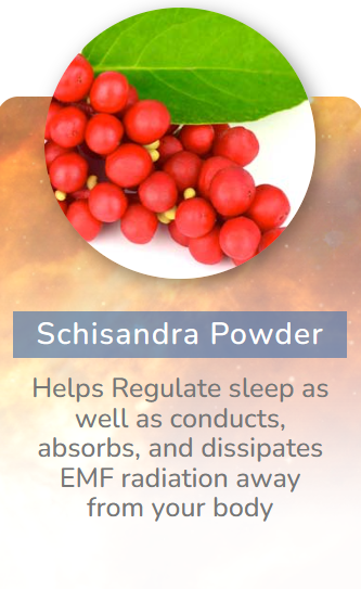 schisandra powder